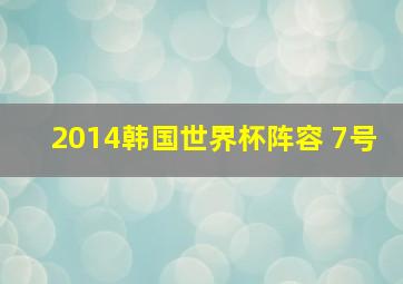 2014韩国世界杯阵容 7号